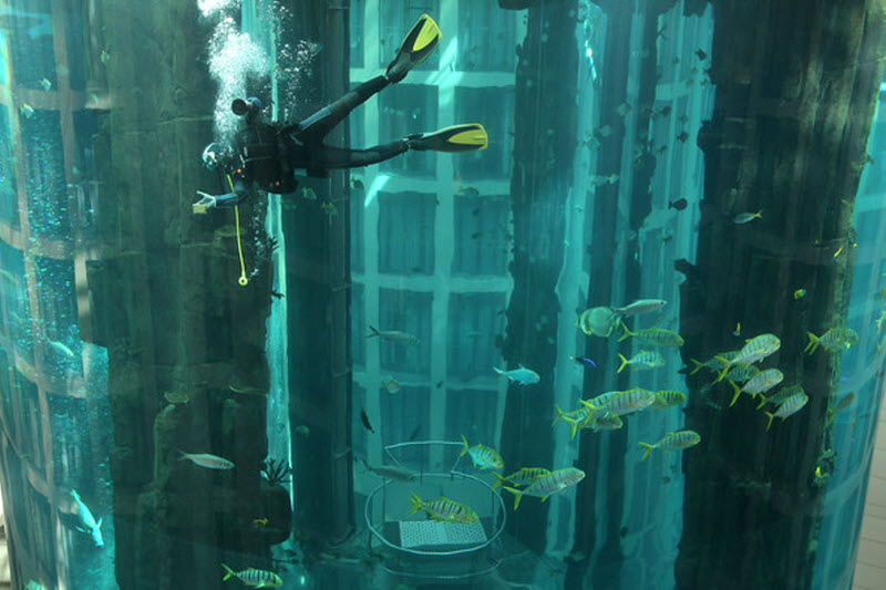 aquarium11