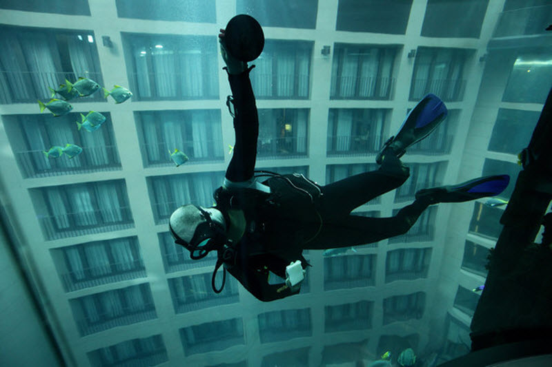 aquarium12
