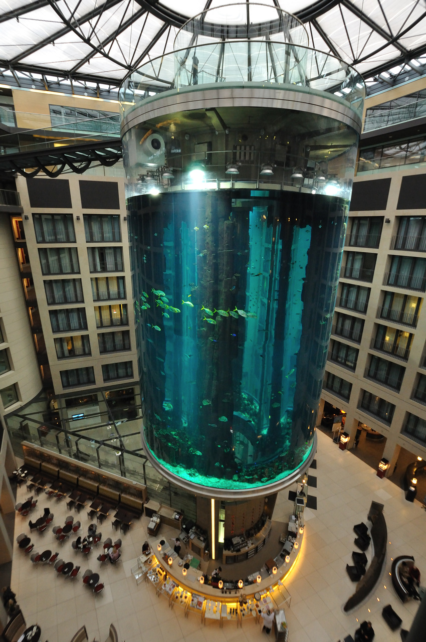 aquarium2