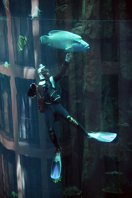 aquarium4
