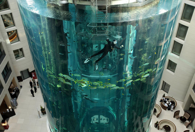 aquarium5