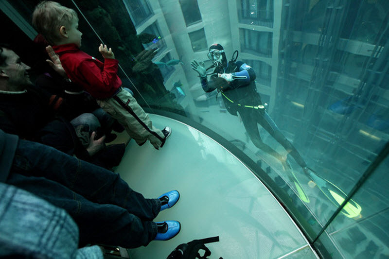aquarium6