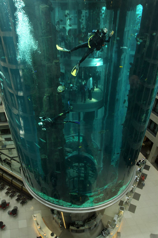 aquarium7