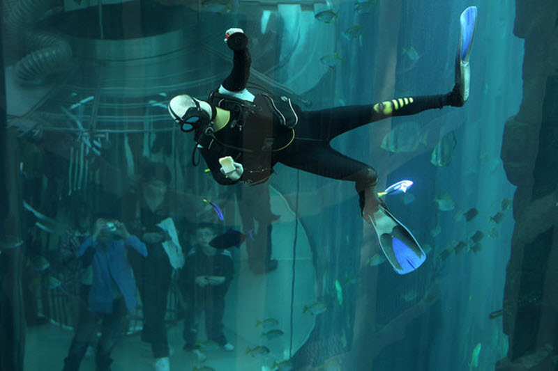 aquarium9