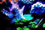 10 советов по предотвращению азотного наркоза